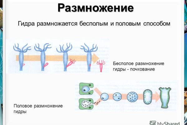 Кракен войти сегодня