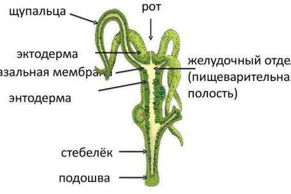 Кракен сайт 1kraken me