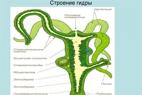 Ссылка на кракен в браузере